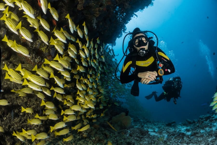Tidal Tao Snorkelling